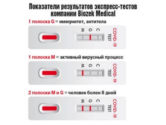 Сколько действителен пцр тест на коронавирус при пересечении границы белоруссии